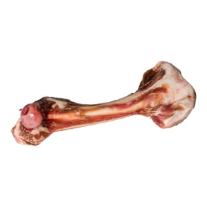 Tucker's Frozen Bones