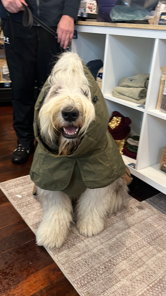Sparkpaws Raincoat