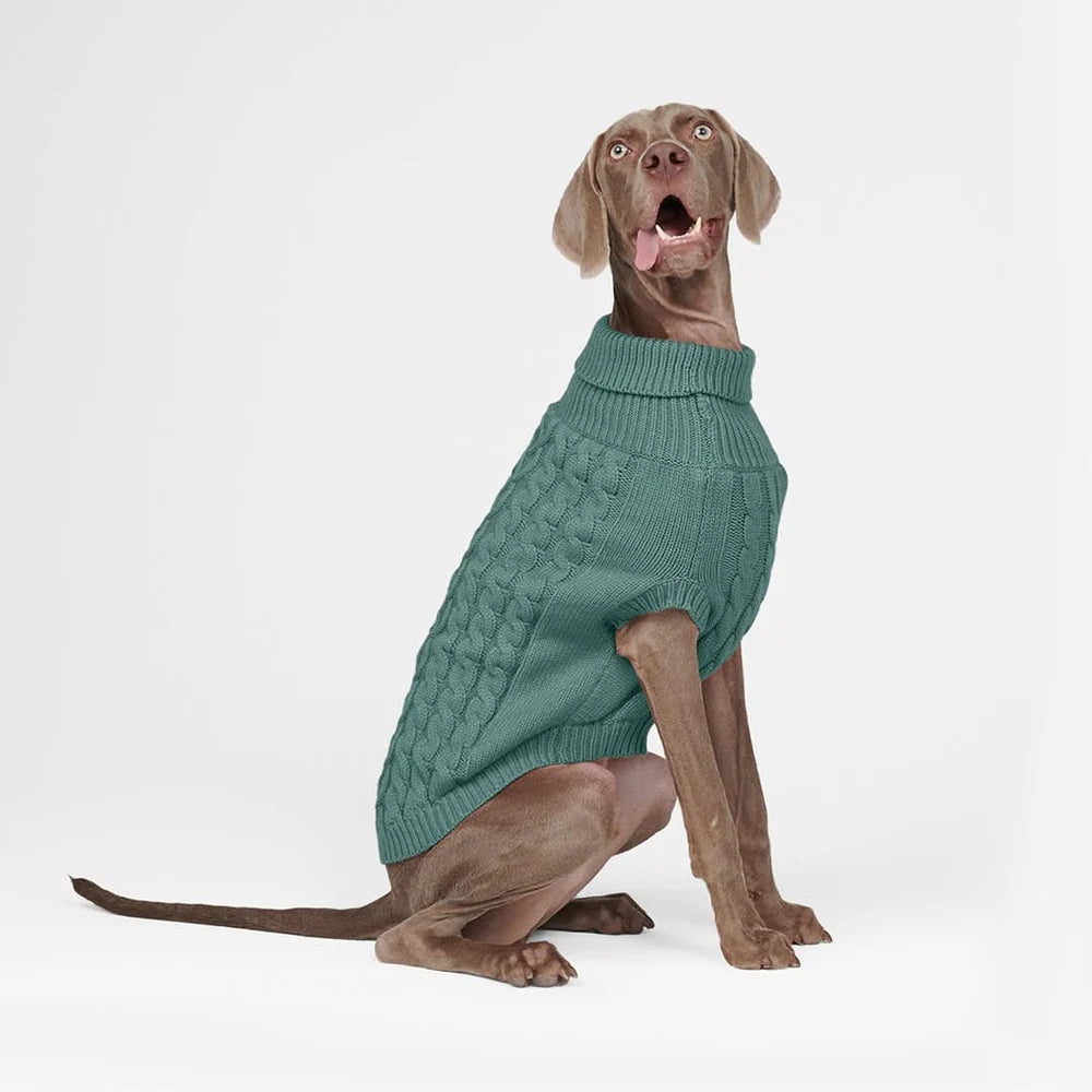 Sparkpaws Sweater
