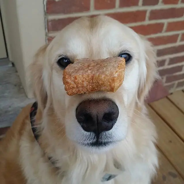 Yak Chew Nugget Pack