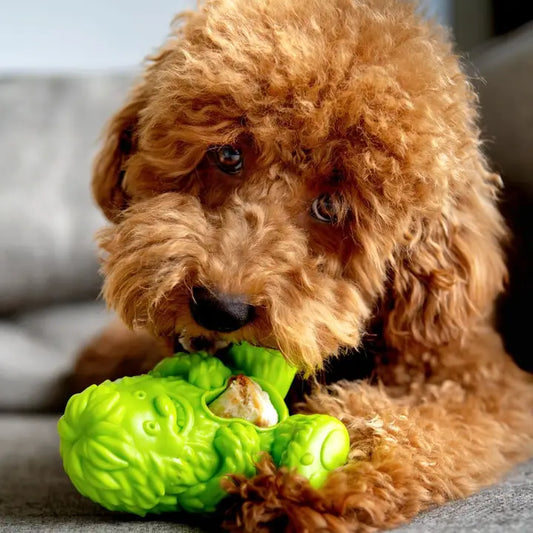 Yak Chew Puff & Play Toy