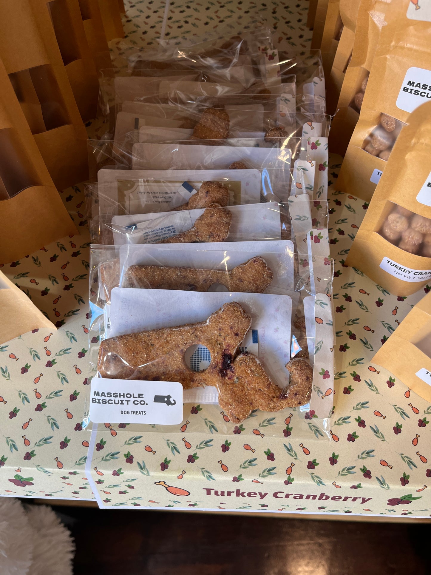 Turkey Cranberry Treats