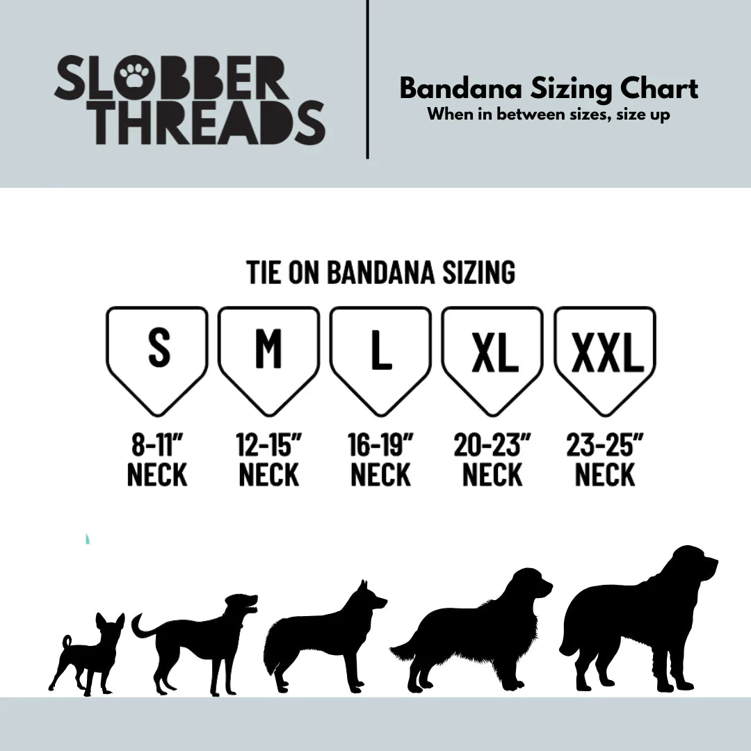 Masshole & Co. x Slobber Threads Dog Bandanna