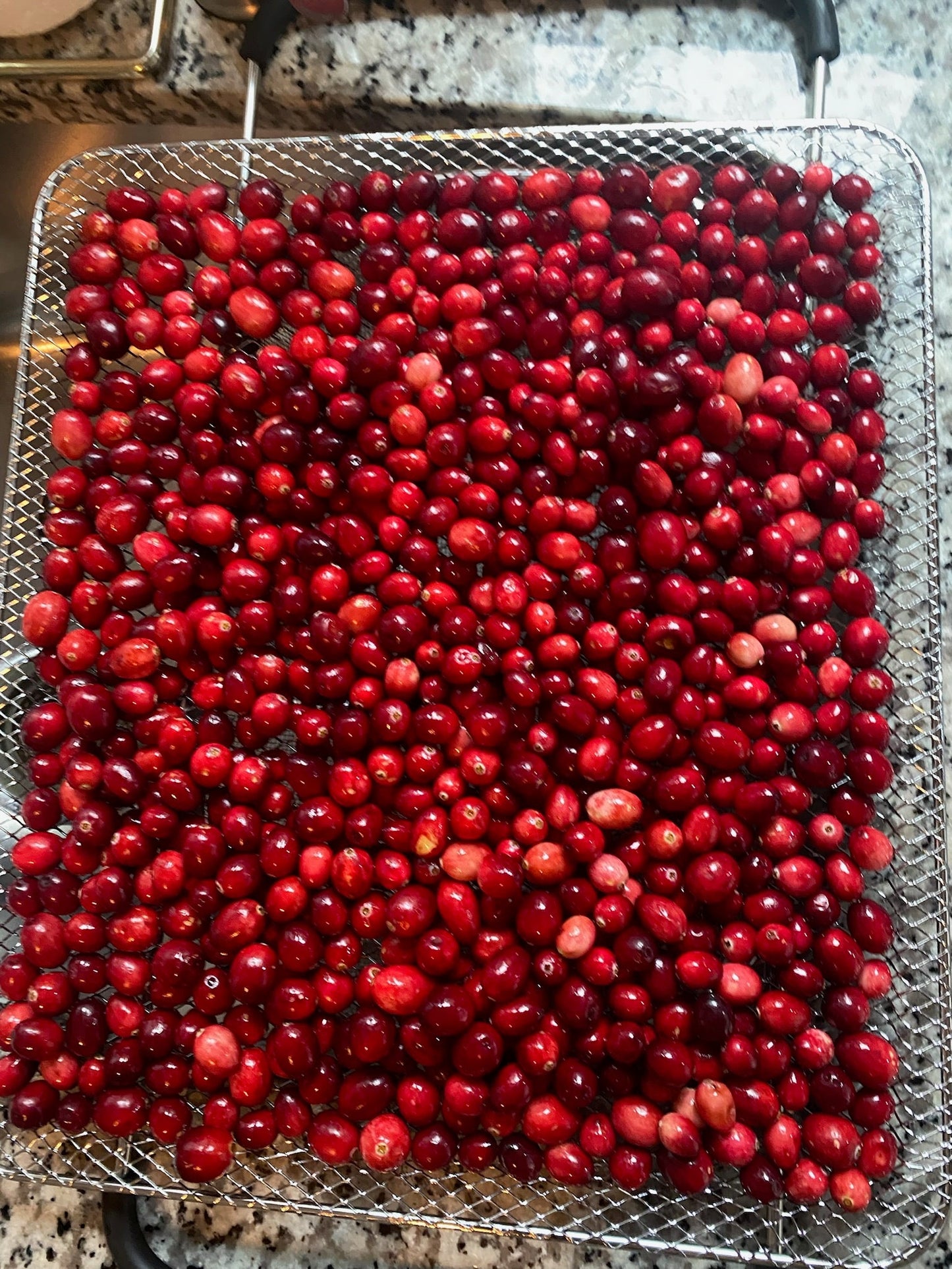 Turkey Cranberry Treats