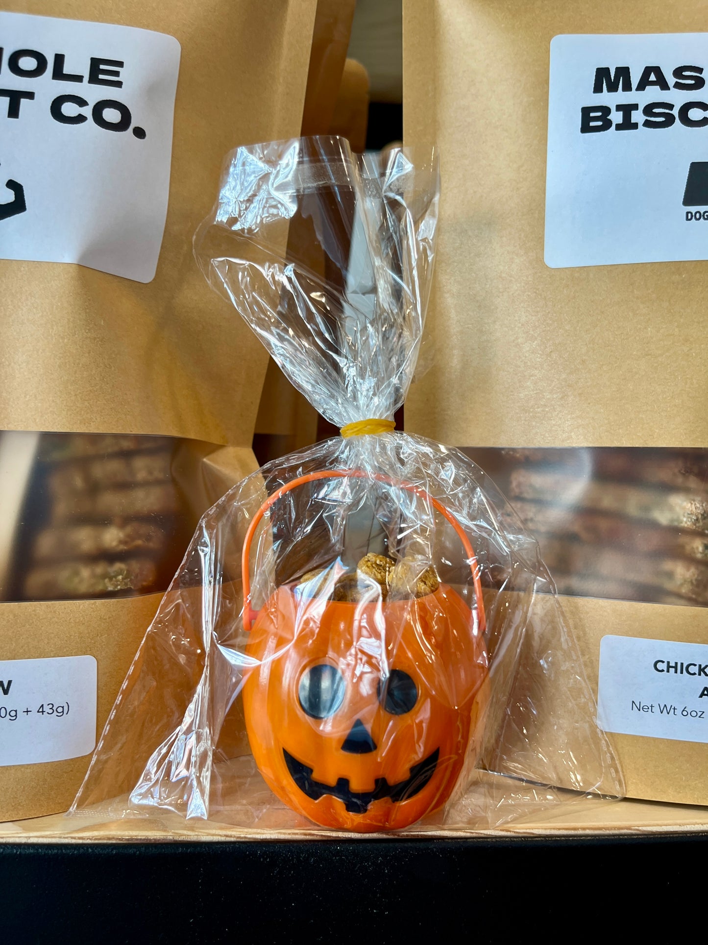 Pumpkin Treat Pails