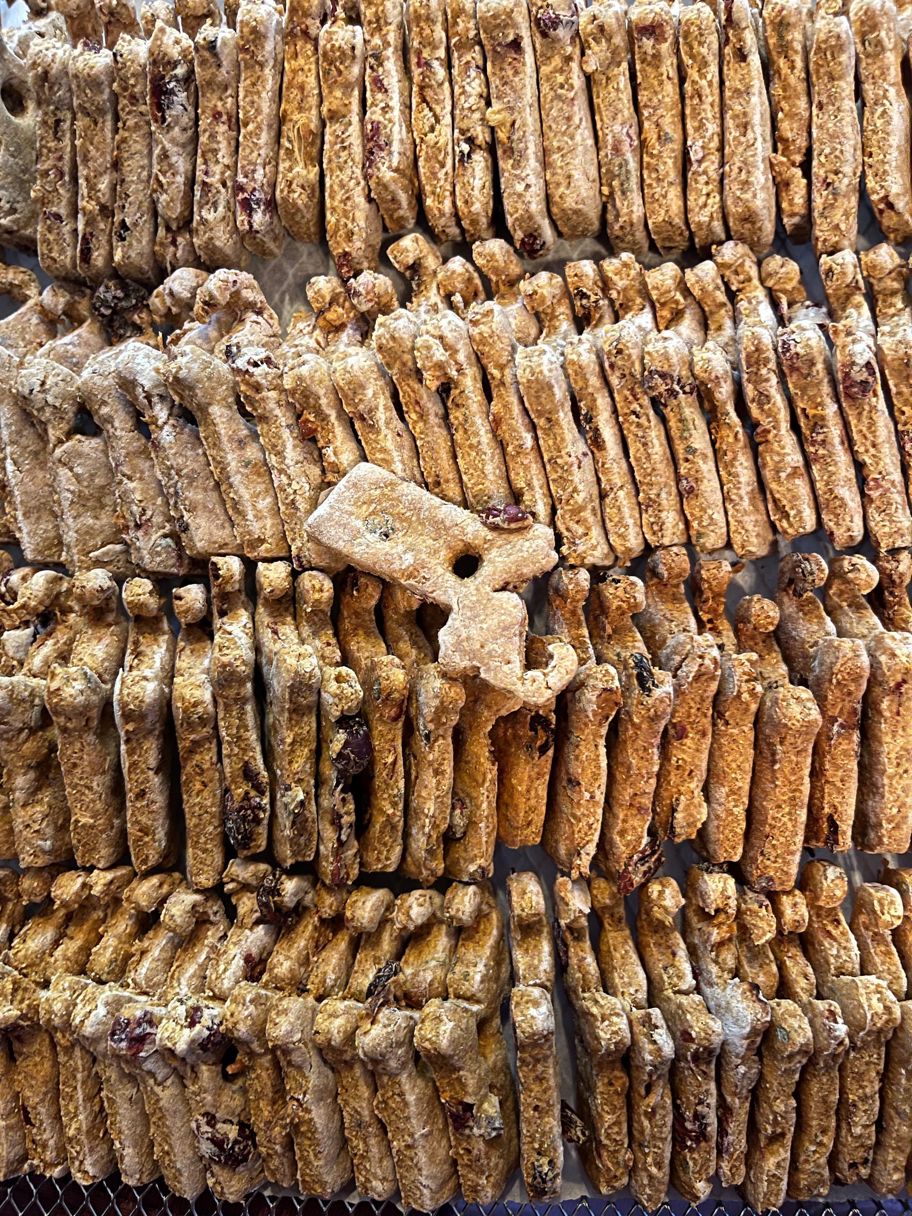 Masshole Biscuit Co, Massachusetts shaped dog treats, made with all natural ingredients. The human grade treats are lined up in rows to show off their whole ingredient add-ins. 