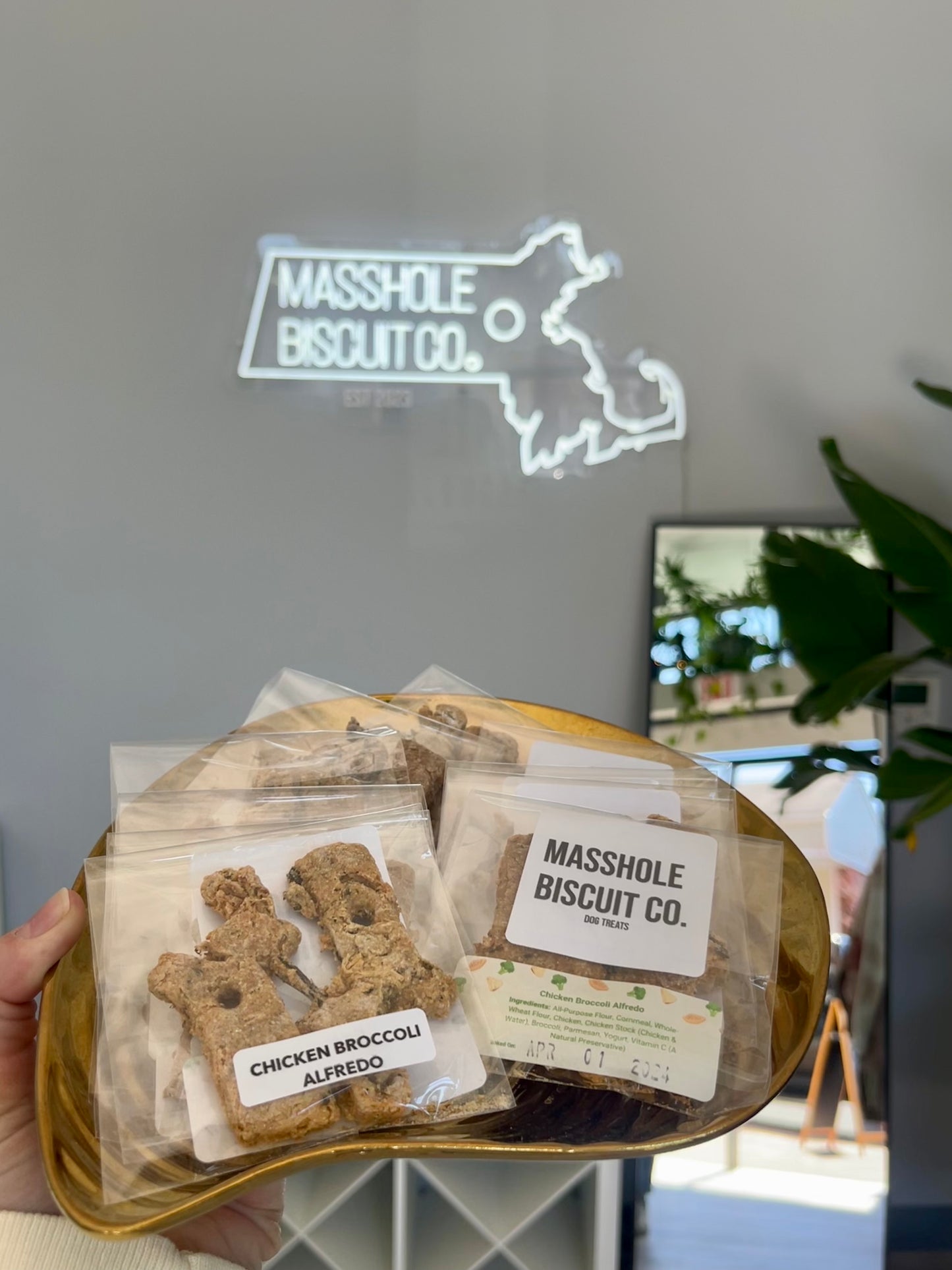 Masshole Biscuit Co Chicken Broccoli Alfredo dog treats in packs of two on a golden plate. Behind the plate you can see the Masshole Biscuit Co neon sign.