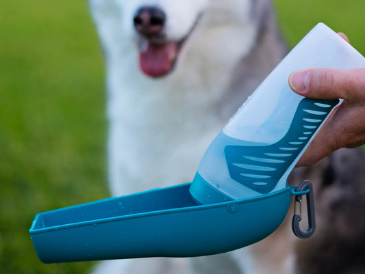 Travel Water Bottle + Bowl Combo - Blue