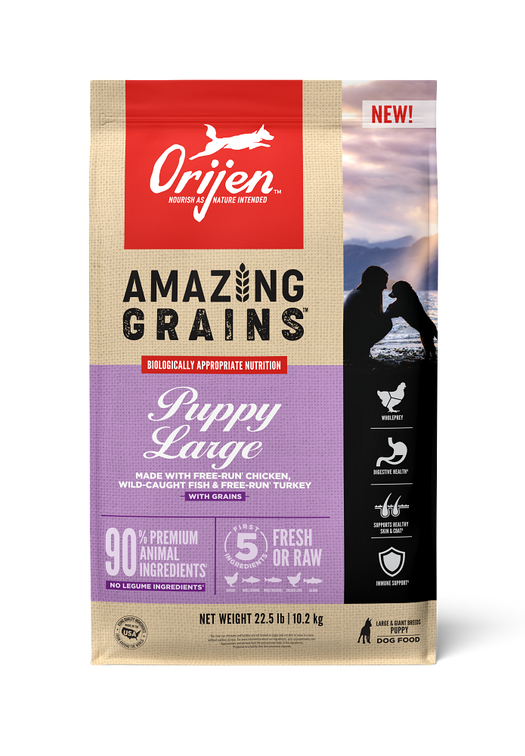 Orijen Amazing Grains Dog Food