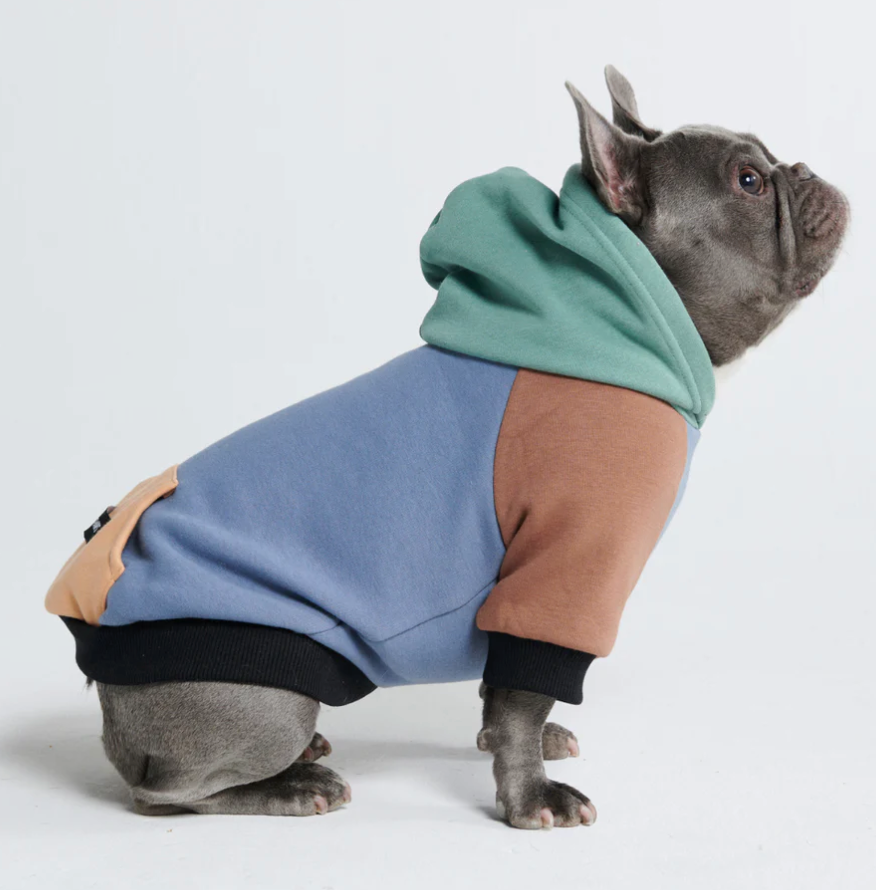 Dog Color Block Hoodie