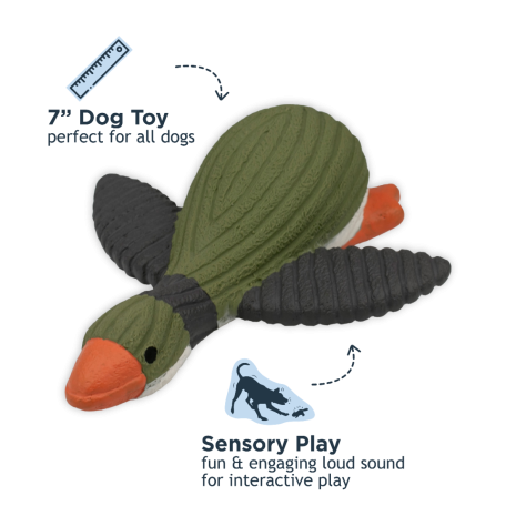 Latex Squeaker Dog Toy