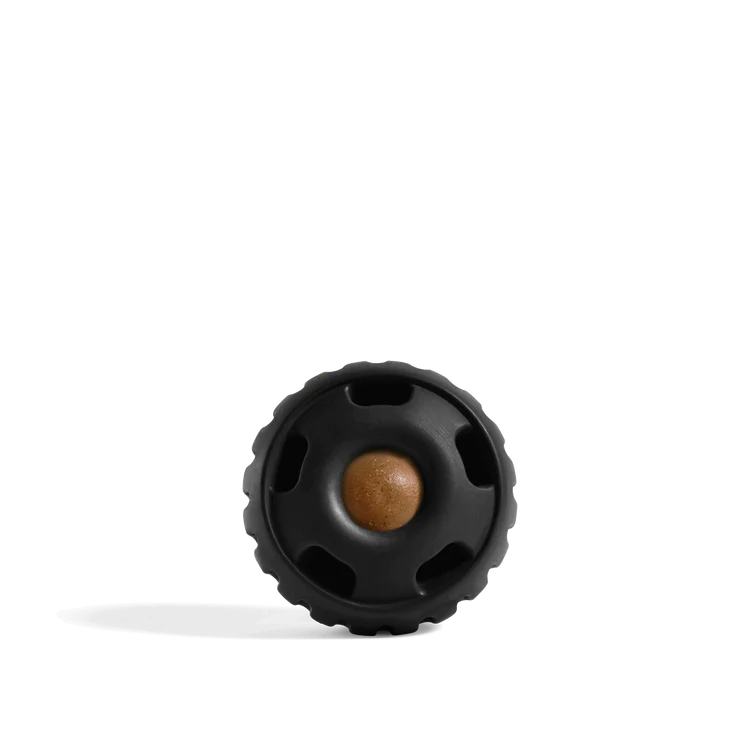 The Pupsicle Toy