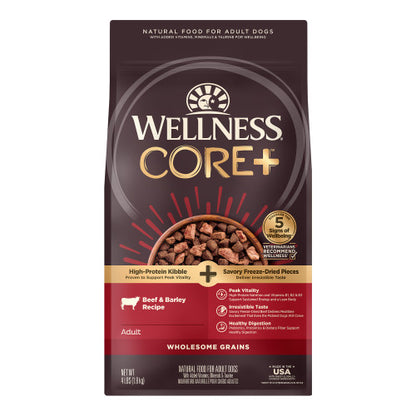 Wellness Core+ Wholesome Grains